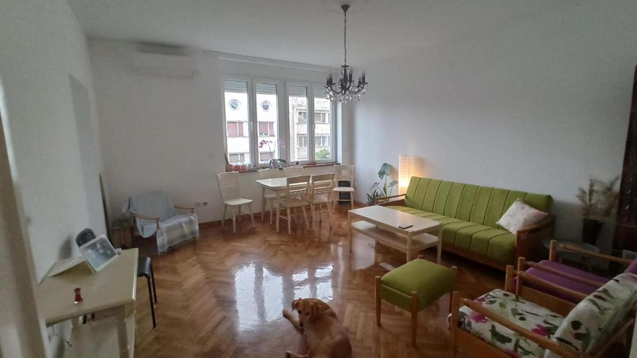 Apartment Hermes Belgrad Zewnętrze zdjęcie